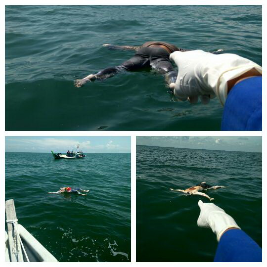 Nakhoda dan Awak Kapal Pembawa TKI yang Tenggelam di Rupat Utara Ditetapkan Tersangka